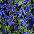 Seamless vector pattern blooming purple-blue garden